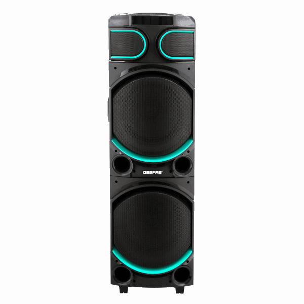 GEEPAS Speaker (amplifier) GMS11170
