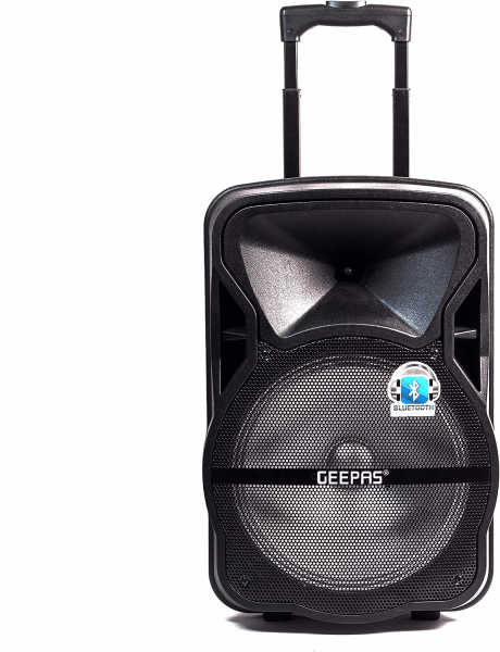 GEEPAS Speaker (amplifier) GMS8568