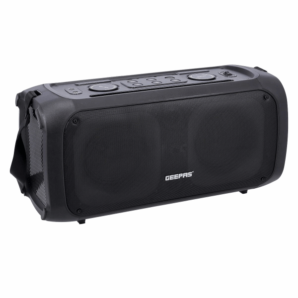GEEPAS Speaker (amplifier) GMS11171