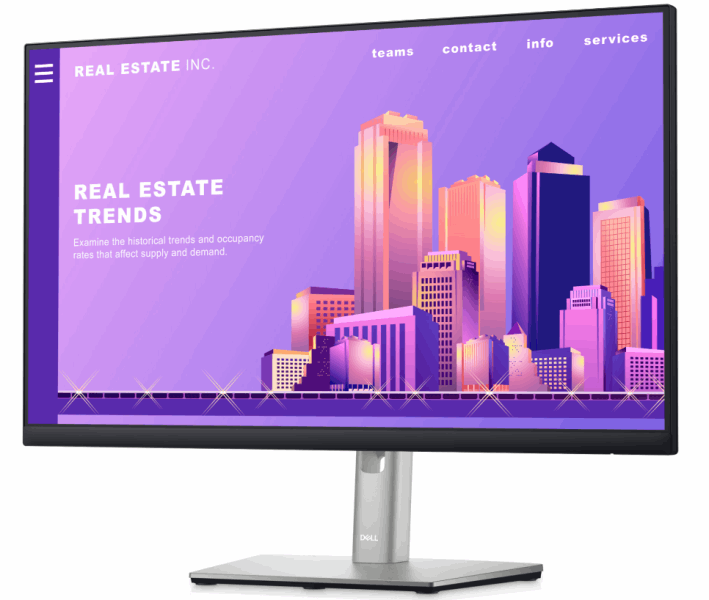 DELL Monitor P2422H