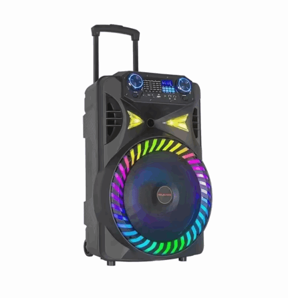 KOLAV Speaker F1515