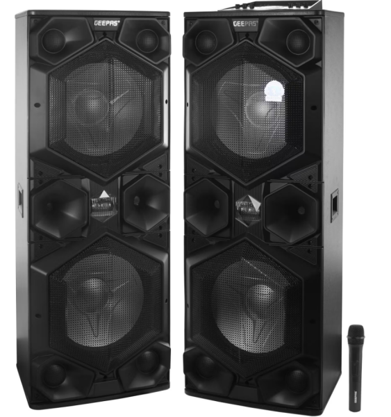 GEEPAS Speaker (amplifier) GMS8569