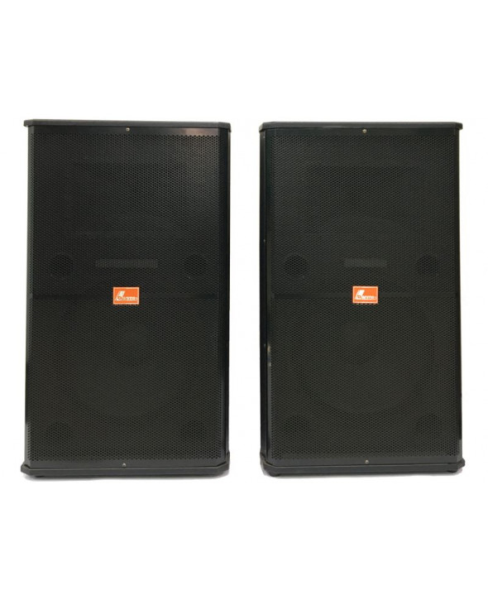 DANMS Speaker (amplifier) DM-15