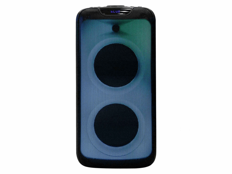 BERG Speaker (amplifier) AS-31M